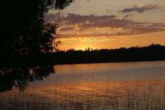 IMG_105488856067449