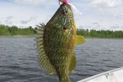 FB_IMG_1465561761987